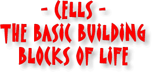 Cells - Basic Building Blocks of Life