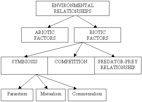 Ecology