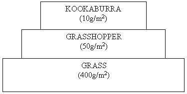 Food Chains