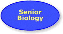 Senior Biology